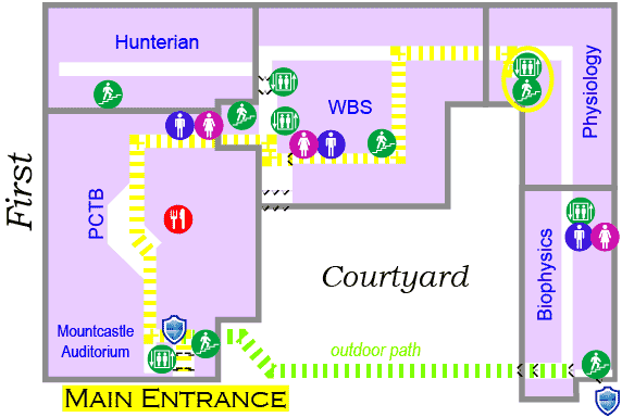 First Floor Trail